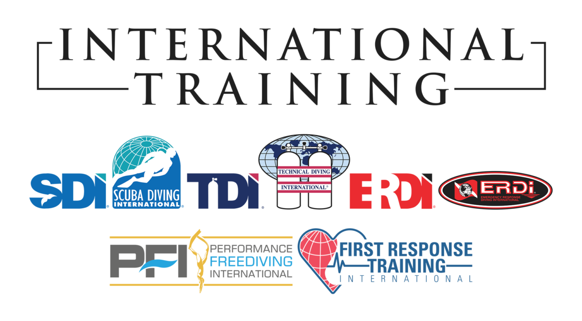 International-Training-All-Logos-Transparent.png