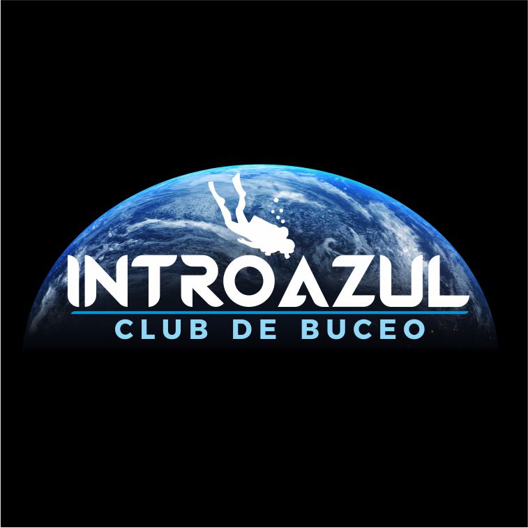 Logo-INTROAZUL-neg.jpg