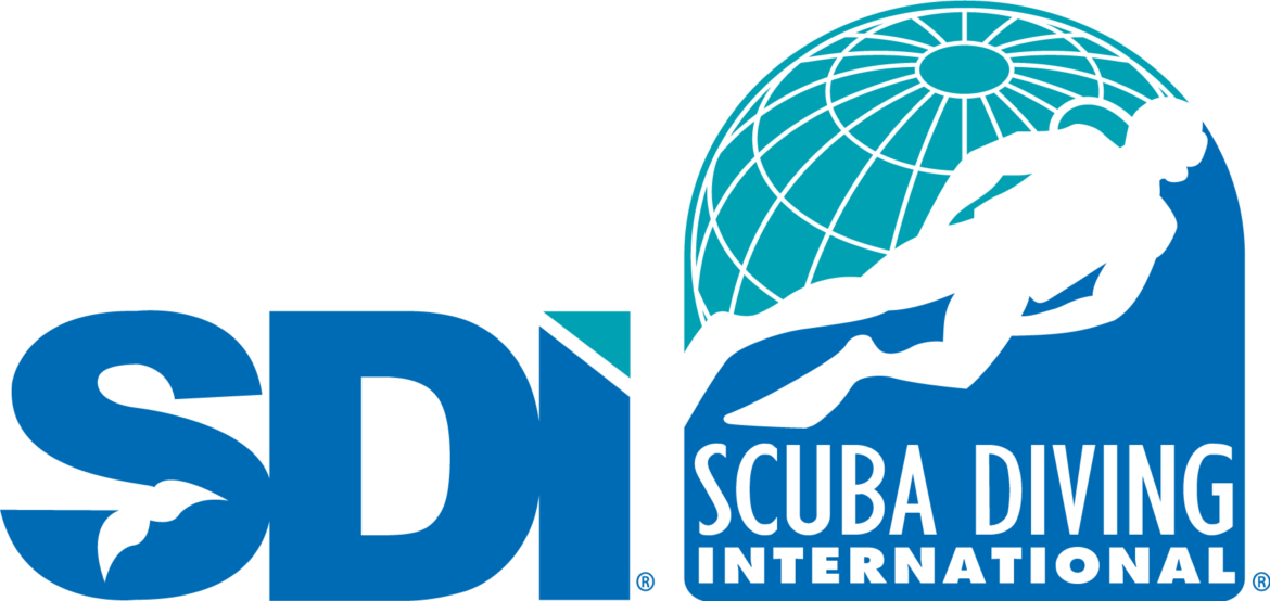 Logo_SDI_Combo_Color_Large_RGB_v0217.png
