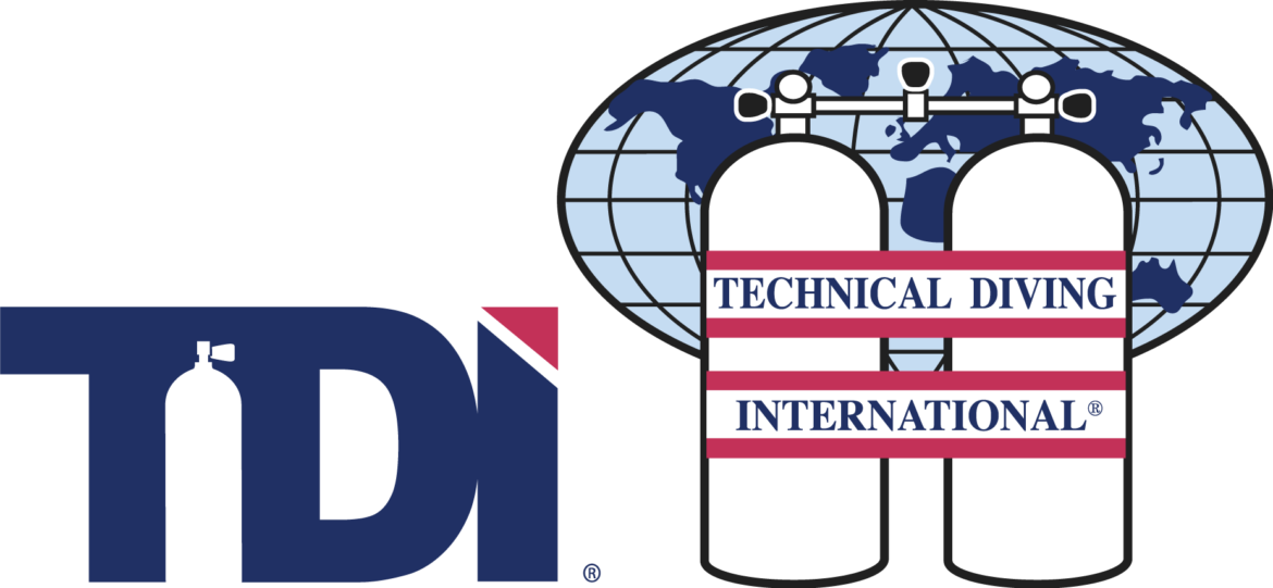 Logo_TDI_Combo_Color_Large_RGB_v0217.png