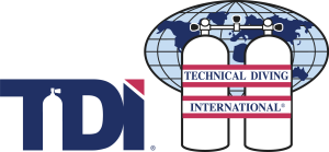 Logo_TDI_Combo_Color_Large_RGB_v0217