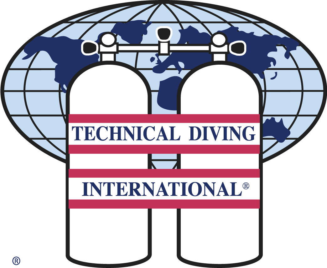 Logo_TDI__Color_Large_RGB_v0217.png