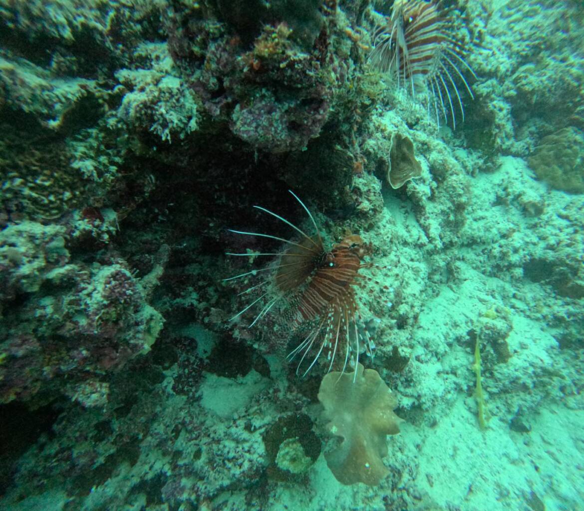 GPTempDownload166_1371x1200.jpg