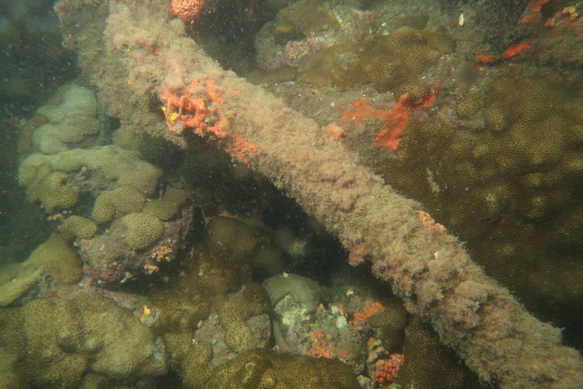 IMG_2682_1800x1200.jpg