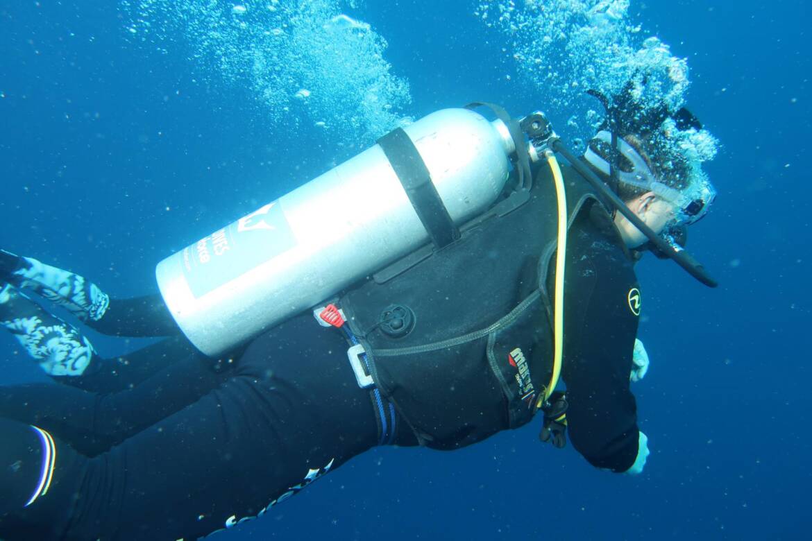 IMG_2778_1800x1200.jpg
