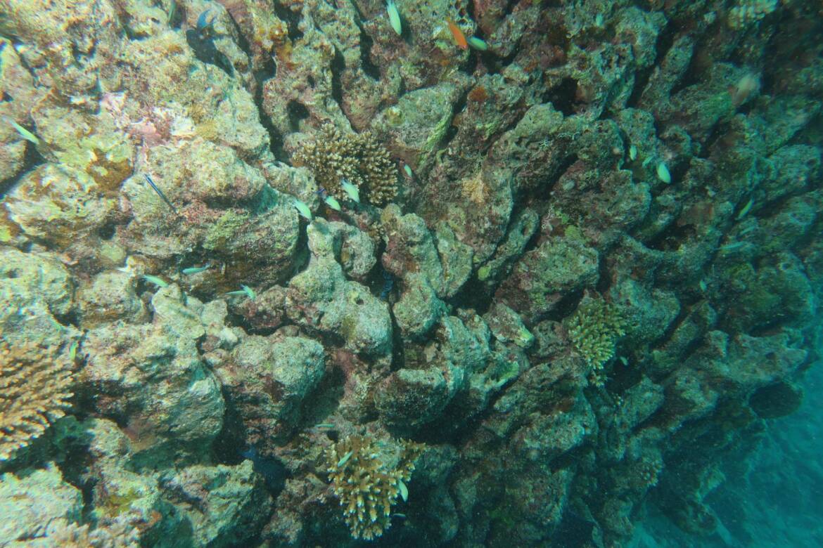 IMG_2850_1800x1200.jpg
