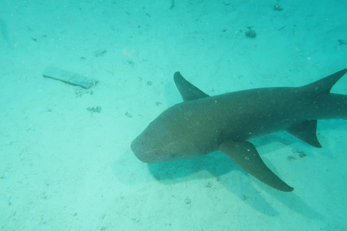 IMG_2862_1800x1200.jpg