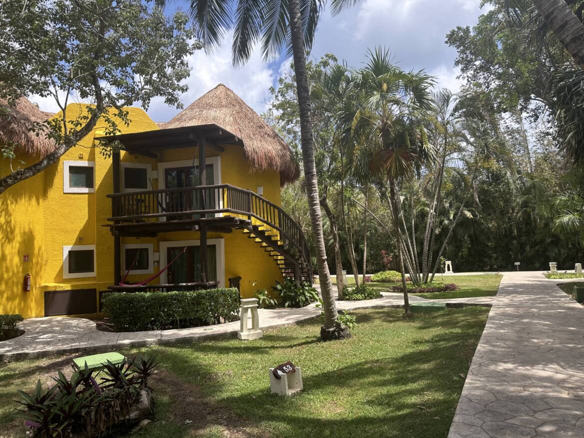IMG_8931-scaled.jpg