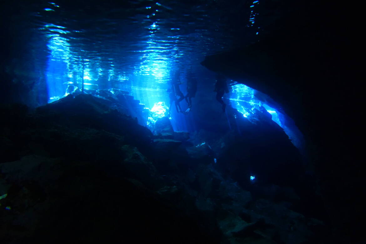 dsc08806-scaled.jpg
